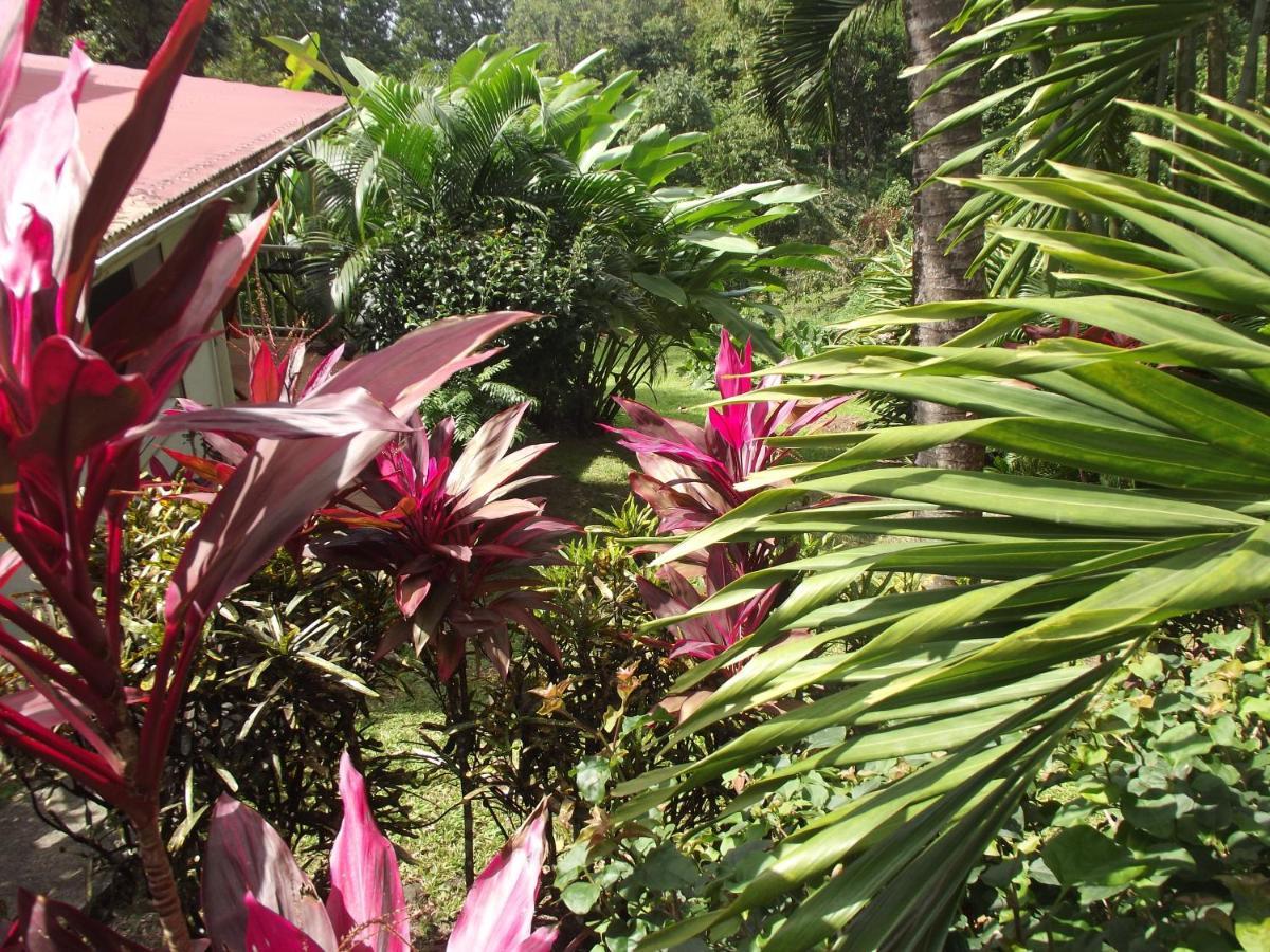 Les Jardins De L'Esperance Vila Bouillante Exterior foto