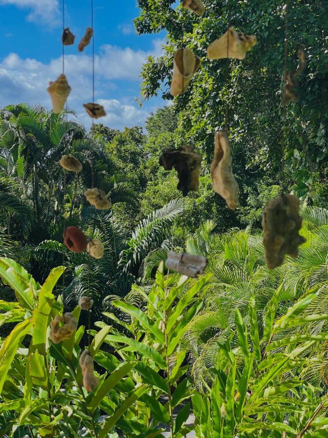 Les Jardins De L'Esperance Vila Bouillante Exterior foto